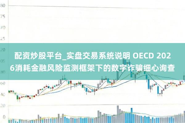 配资炒股平台_实盘交易系统说明 OECD 2026消耗金融风险监测框架下的数字诈骗细心询查