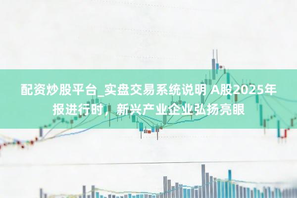 配资炒股平台_实盘交易系统说明 A股2025年报进行时，新兴产业企业弘扬亮眼