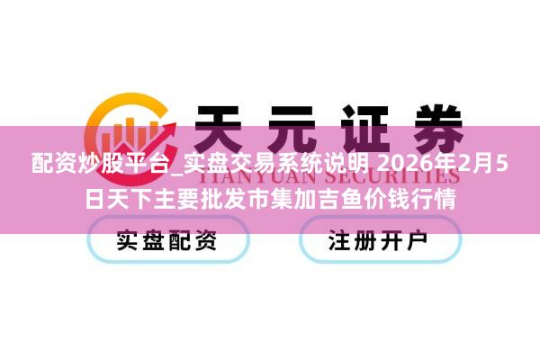配资炒股平台_实盘交易系统说明 2026年2月5日天下主要批发市集加吉鱼价钱行情