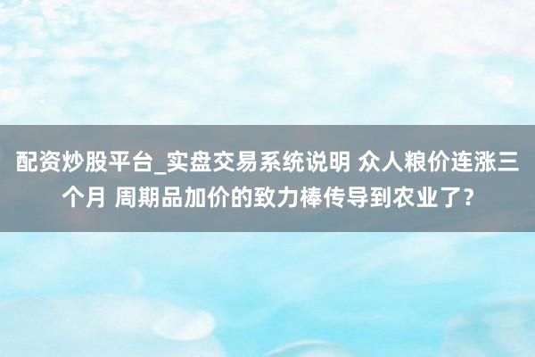 配资炒股平台_实盘交易系统说明 众人粮价连涨三个月 周期品加价的致力棒传导到农业了?