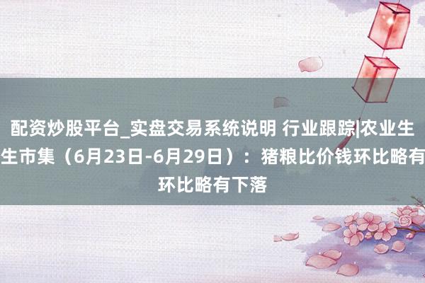 配资炒股平台_实盘交易系统说明 行业跟踪|农业生猪衍生市集（6月23日-6月29日）：猪粮比价钱环比略有下落